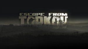 2 рейда за дикого в  #Escape from Tarkov