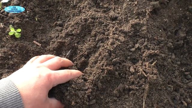 Готовим почву для рассады самостоятельно! смотреть онлайн