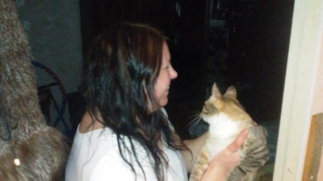 методика перевоспитания кота смотреть онлайн