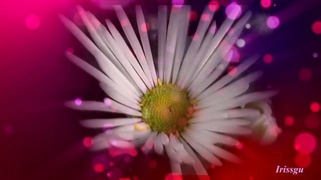 Цветочная фантазия смотреть онлайн