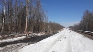 Валка опасного дерева ф60 см с оттяжкой рядом с ЛЭП