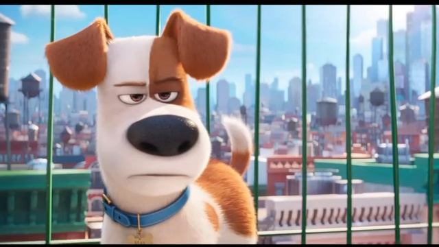 "Тайная жизнь домашних животных" (эпизод) смотреть онлайн