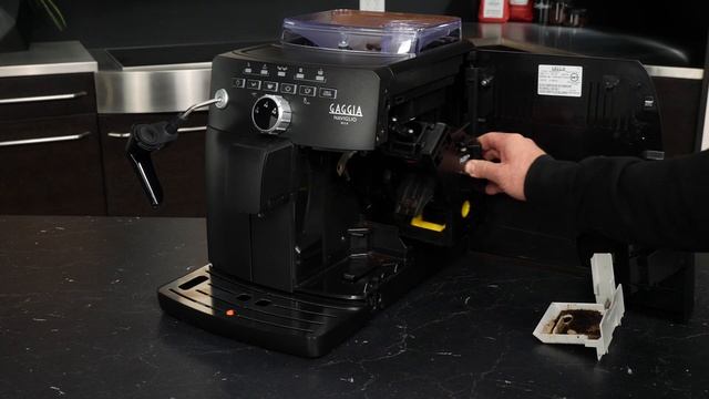 Gaggia Naviglio Milk: Maintenance & Alerts смотреть онлайн