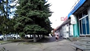 На берегу Ледовитого океана...