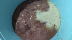 Куриная печень в яйце и соде