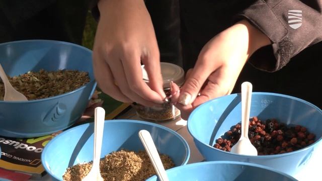 В Таллинне прошел символический праздник сбора урожая смотреть онлайн