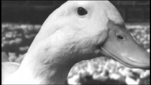 Нимфоманка: Часть 2 (2014)