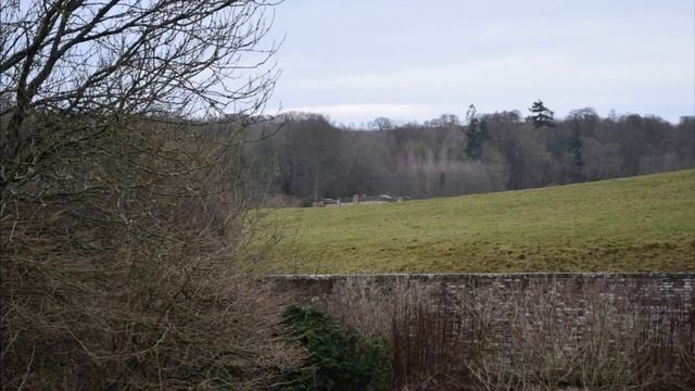 PHOTOS - National Trust Wallington Hall - 17th January 2020 смотреть онлайн