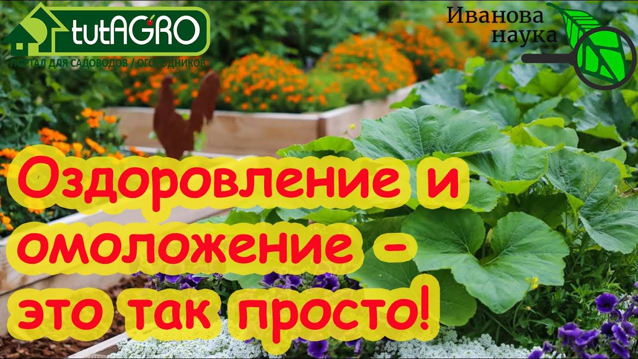 РЕАЛЬНО ВИДНО! ОЗДОРОВЛЕНИЕ и ОМОЛОЖЕНИЕ... своего участка! Как это возможно? А очень просто!