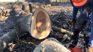 Husqvarna 353-husqvarna 545