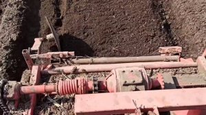 Идеальные грядки для посева.