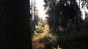 Красивые Виды Природы.mp4