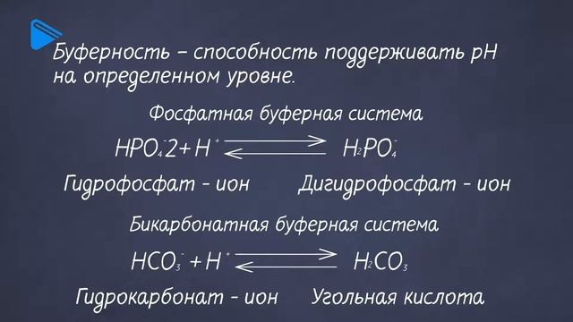 10 класс - Биология - Химический состав живого вещества. Неорганические вещества клетки смотреть онлайн