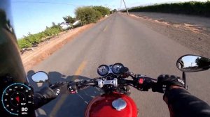 Speed Twin Wheelie1