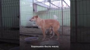 #дядя_феникс#тетя_феникс#бэби_феникс #суперкоманда_феникс_ #москва #новочеркасск #novotlove_