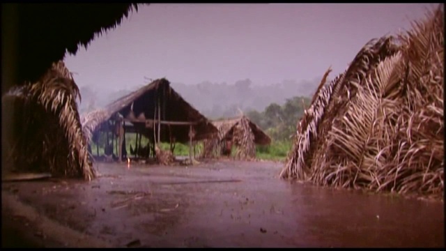 Zo'é смотреть онлайн