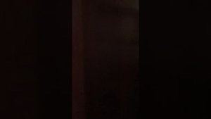 Акустика с трансмиссионной линией TQWT. Супер для джаза и классики.