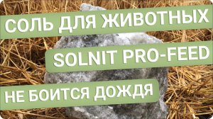 Соль кормовая лизунец для животных SOLNIT (СОЛНИТ)! Осадки не страшны! Не тает под дождем!