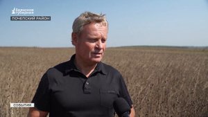 В Почепском районе Брянской области продолжается уборка мака