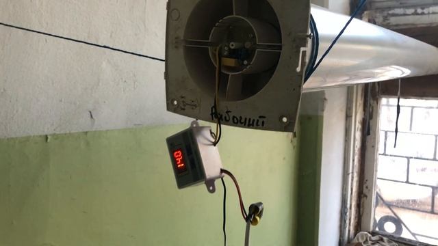 Выгонка Тюльпанов 2023. Обзор на 5 марта. Малая комната. Часть 2 смотреть онлайн