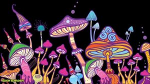 Psychedelic Mushroom Trip Background Music