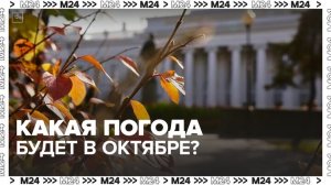 Эксперты рассказали, какая погода будет в столице в октябре - Москва 24