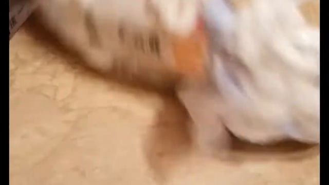 Распоковка смотреть онлайн