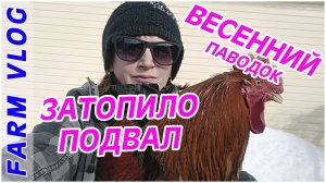 Farm Vlog_ Весеннее настроение _ За БОРТОМ +10 _ Жизнь в деревне _ Farm Life