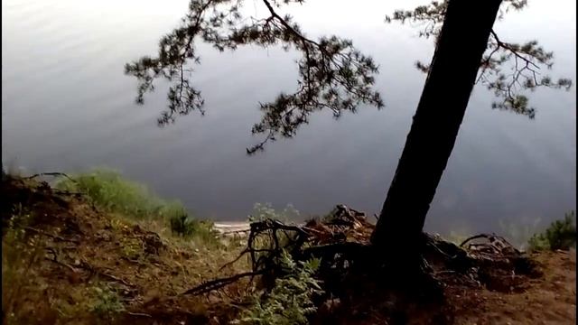 Ловля раков с фонариком. Открыли сезон 2017 смотреть онлайн