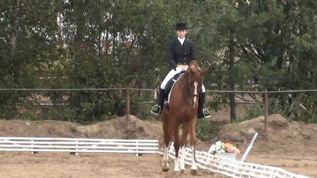 Езда № 65.MPG смотреть онлайн