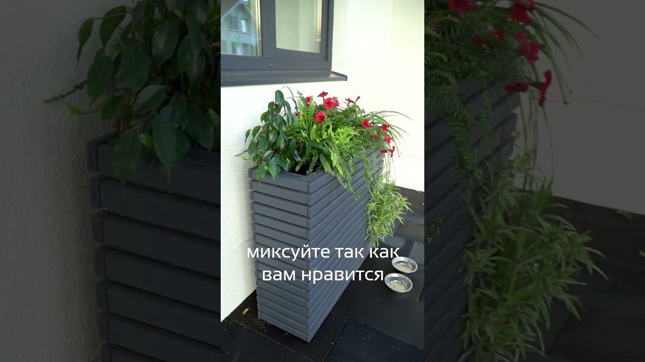 Лучшее контейнерное озеленение!  #openvillage #ландшафтныйдизайн  #greenwood #дача #загородныйдом
