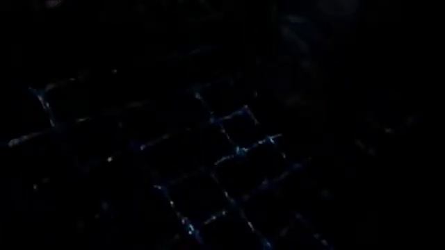?? Как отучить кота рыться в цветочных горшках