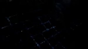 ?? Как отучить кота рыться в цветочных горшках