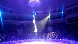 Вчера 19.04.2017 в Минском цирке сорвалась воздушная гимнастка