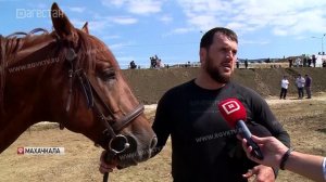 В Махачкале прошли соревнования по конкуру и скачки