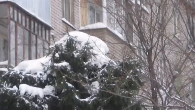 Палитра Жизни Первый снег в моем городе