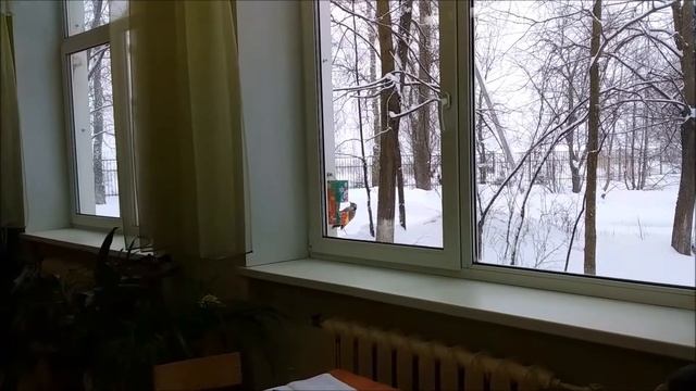 Дятел смотреть онлайн