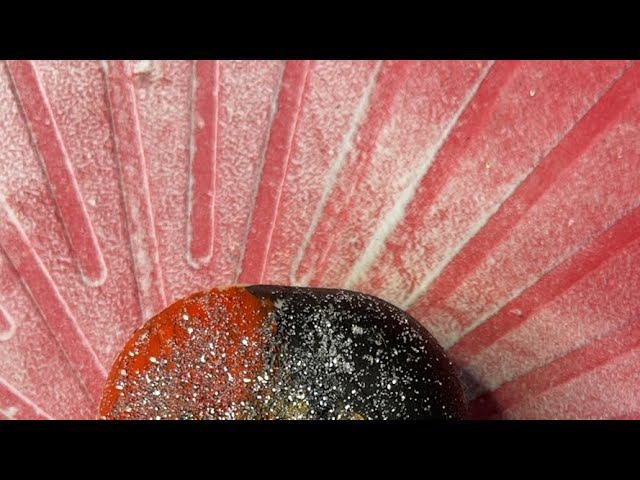 Cutting Soap