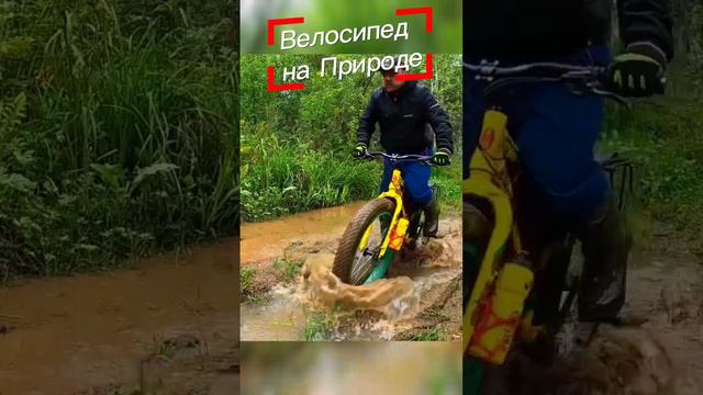 #природа #fatbike #велосипед #велоспорт #bike #фэтбайк #velofatbike #велопоход #велопутешествие