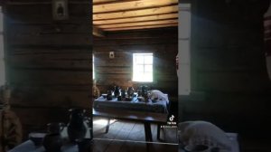 Выходной в музее под открытым небом / Музей белорусской архитектуры и быта / Озерцо / Elena Alista