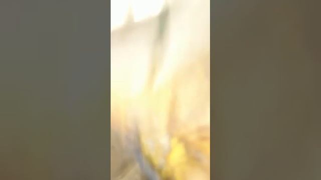 ЗАВТОРАК СТАЛИНА!!!!!!!,подробный разбор как приготовить ребёнка, смотреть всем домохозяйкам и умны смотреть онлайн