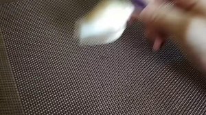 Виды ракушек ?? ?