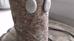 Комплект украшений из рога лося