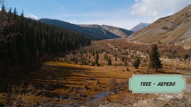 Английские слова на тему ПРИРОДА - NATURE | с переводом и озвучкой смотреть онлайн