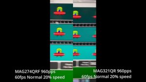 MSI IPS vs Rapid IPS Panel