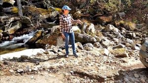 Тайга Приморского края