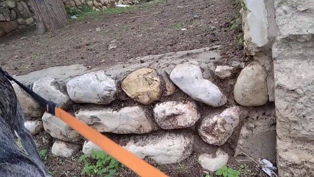 Обувь для собак | Тренировочные "ботинки" Декса | Бег за велосипедом/самокатом и т.п. Нюансы