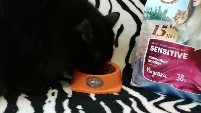 Сухой корм для кошек Karmy Sensitive смотреть онлайн