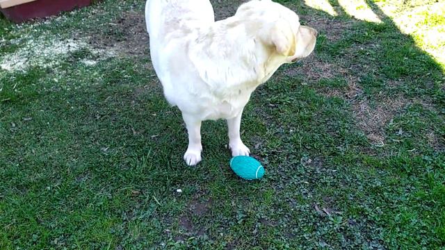 А вы играете?