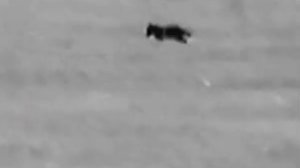 Hikmicro Lynx Pro LH 25 - Kuňák